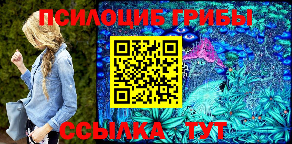 Псилоцибиновые грибы Cubensis Липецк