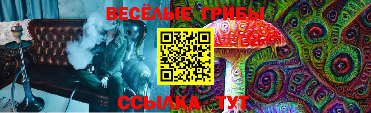 Липецк  Псилоцибиновые грибы Psilocybe  Псилоцибиновые грибы мухоморы  Вход с VPN 